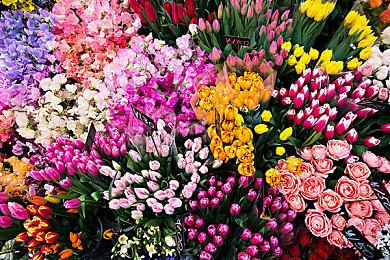 《私酿酒公司》更新路线图 2月迎来两款大型资料片